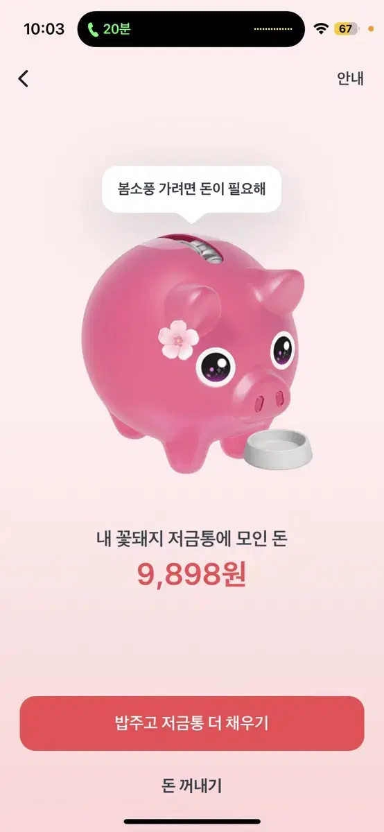 토스 꽃돼지 키우기 도와주시고 500원 받으실붘!!!!